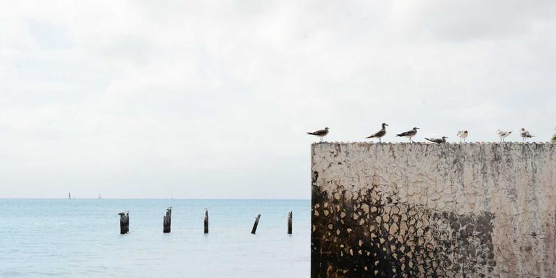 从多漫123看动漫周边市场：模型产品的成功密码与行业启示