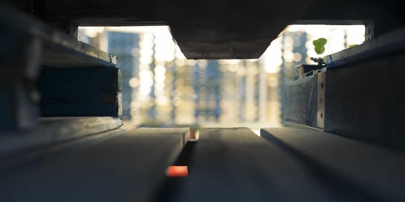 从手办到生活用品:二次元文化浪潮下的动漫周边深度对比