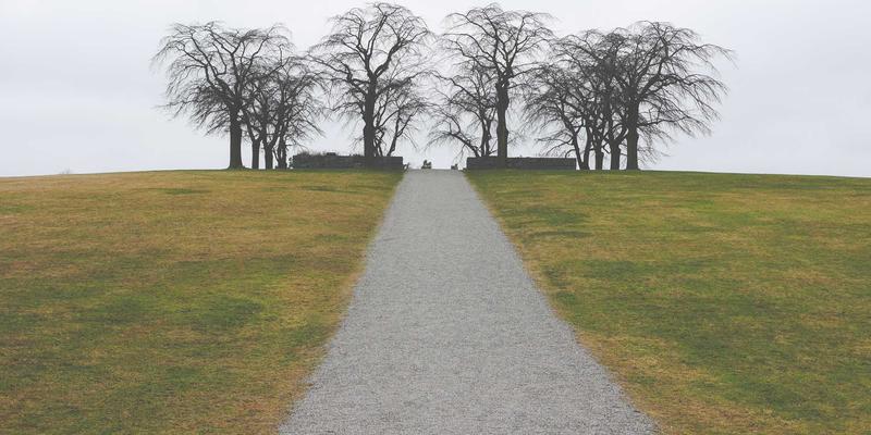 从模型收藏到文化共鸣：动漫周边的二次元世界深度解析