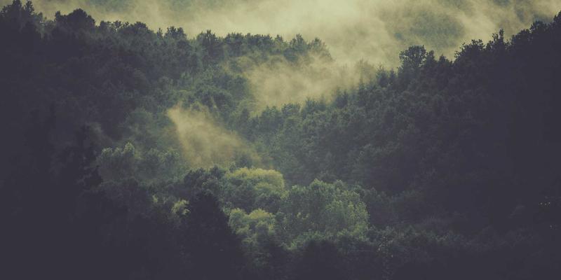 动漫周边市场新浪潮：从模型收藏到Cosplay经济的全产业链崛起