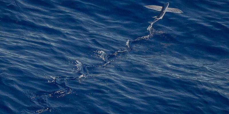 多漫123：从动漫周边到指尖艺术，揭秘客制化键盘中的二次元文化