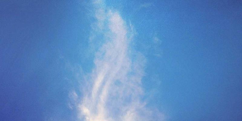 手办与动漫周边购买全攻略：深度评测五大高性价比平台